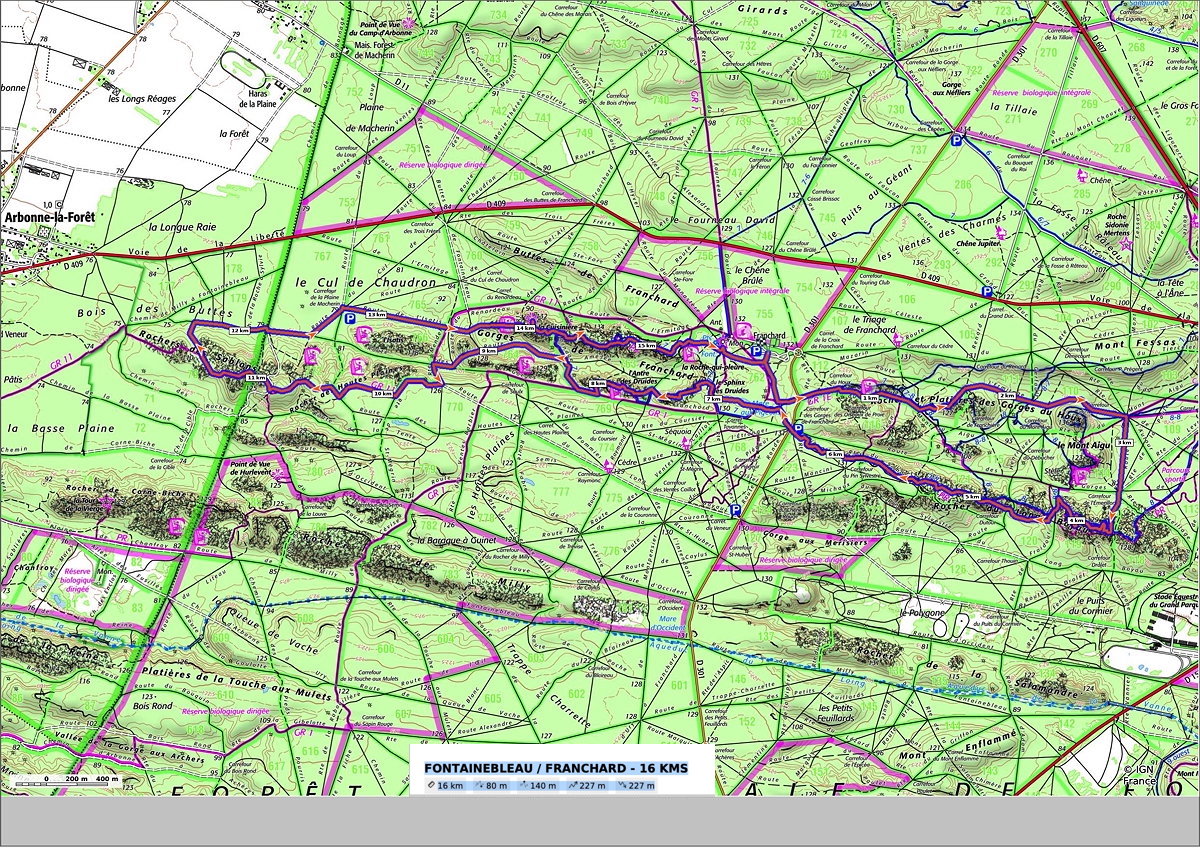 fontainebleau-franchard_